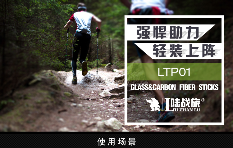 LTP01登山杖超轻户外徒步手杖(图1)