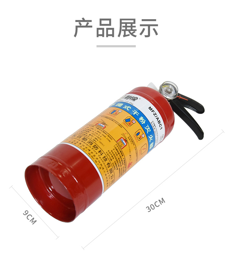 LGK003干粉灭火器(图3)